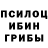 Псилоцибиновые грибы Psilocybe Suhrob Yusupov