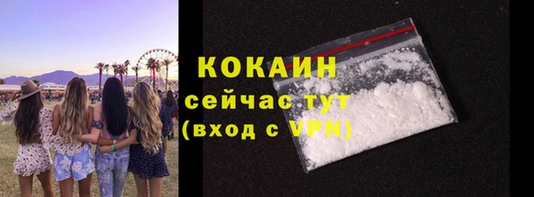гидра Абаза