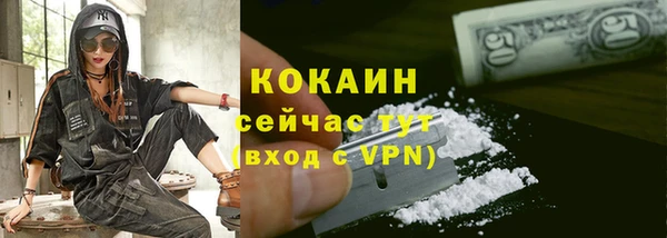 гидра Абаза