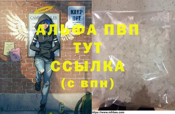гидра Абаза