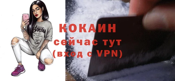 гидра Абаза