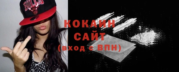 гидра Абаза