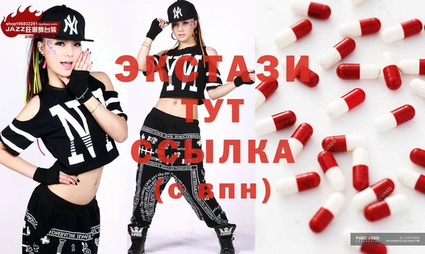 гидра Абаза
