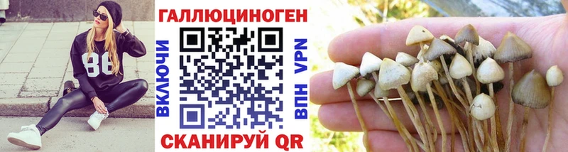 мега ONION Нариманов Галлюциногенные грибы мицелий